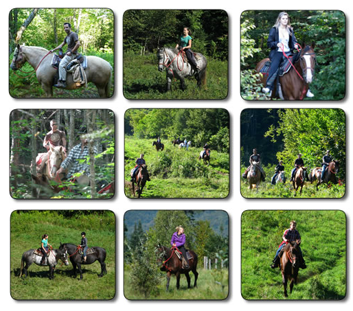 equitation quebec Excursions Jacques Cartier